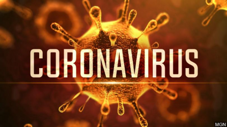 Coronavirus - Pandemia